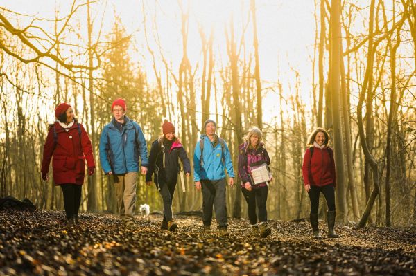 Ramblers in a sunlit forest