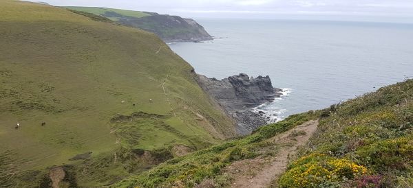 Coastal path