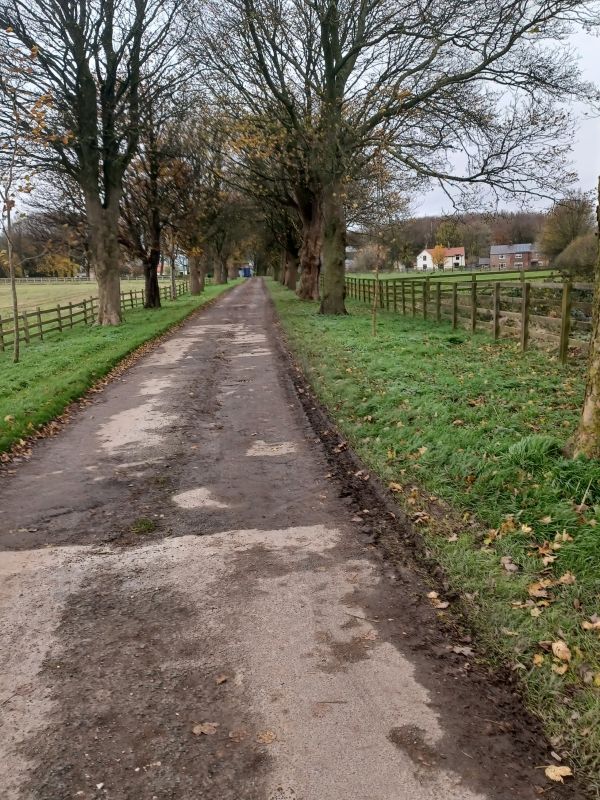 "Road towards Arras Farm"