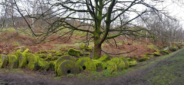 A recent walk