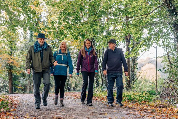 four walkers walking along a road