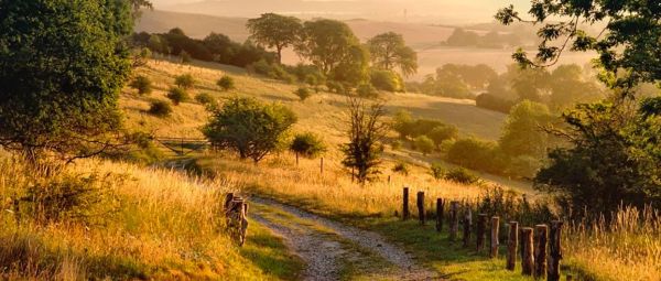 A path winding through grasses at sunset