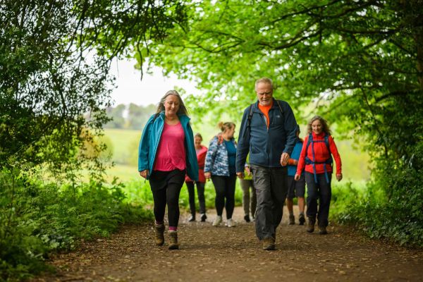 walkers on a forest path