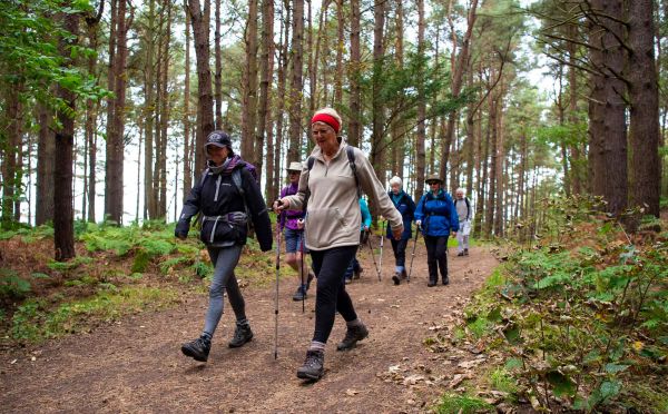 walkers on a forest path