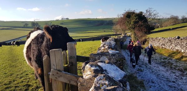 Frosty walk near Alstonefield