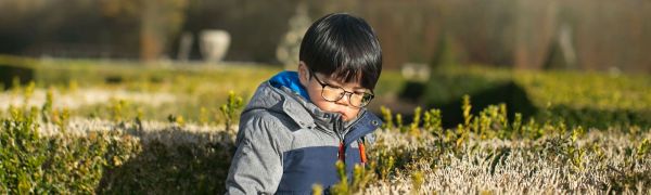 A young boy sitting among plants