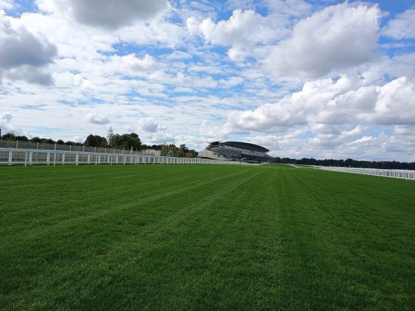 ascot race course 