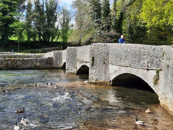 bridge