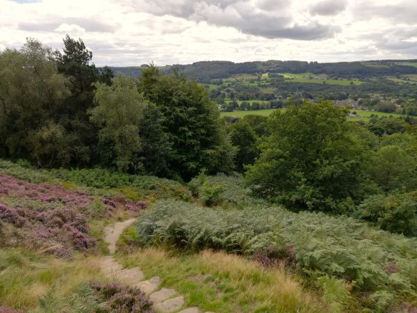 A path of stone steps going down to Ashover
