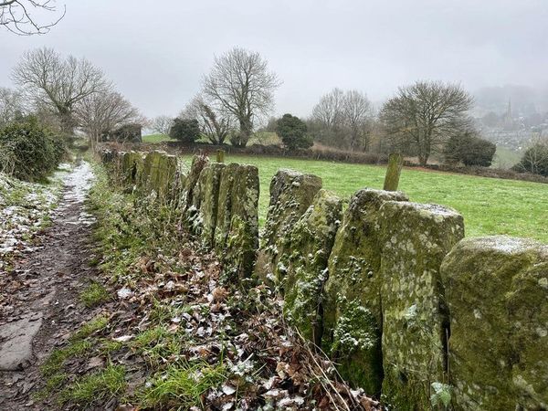 Stone hedge above Ashover village
