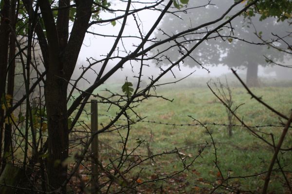 barbed wire and stopping walkers from path