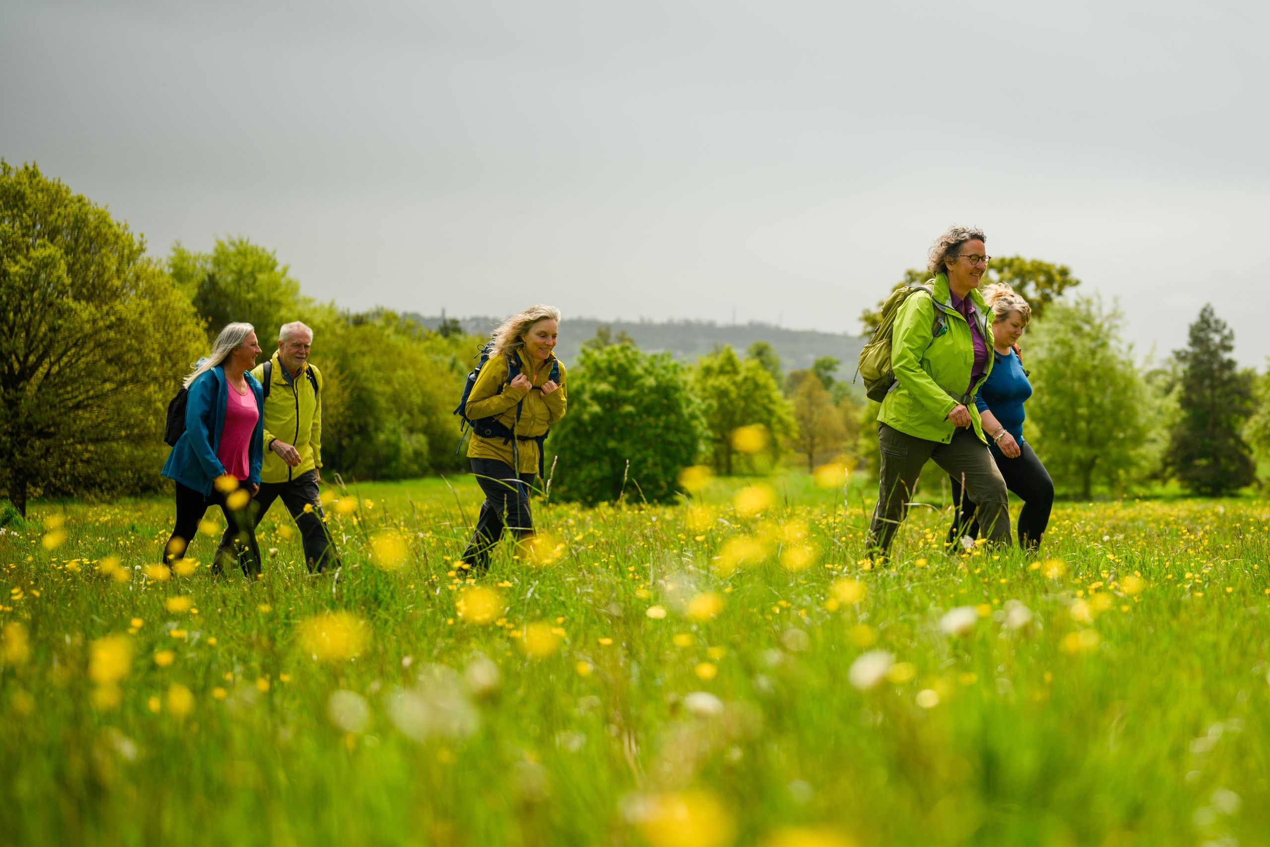 Group of walkers in a green field