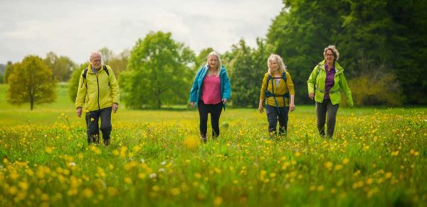 A group of four walkers crossing a field of grass and wild flowers