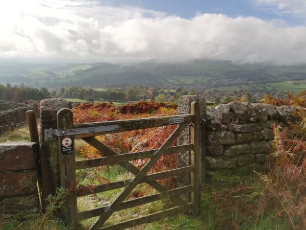 Gate