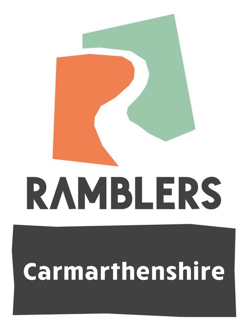 carmarthenshire area logo