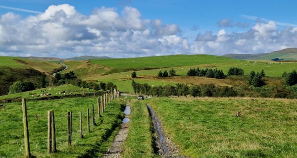 A view down a rutted road leading towards low green hills with a blue sky and scattered clouds 