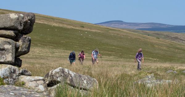 Four people walking across moorland in Dartmoor on a sunny day