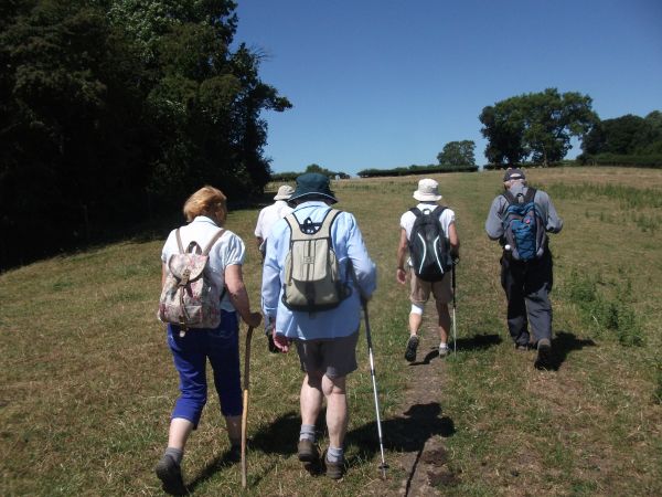 summer walk