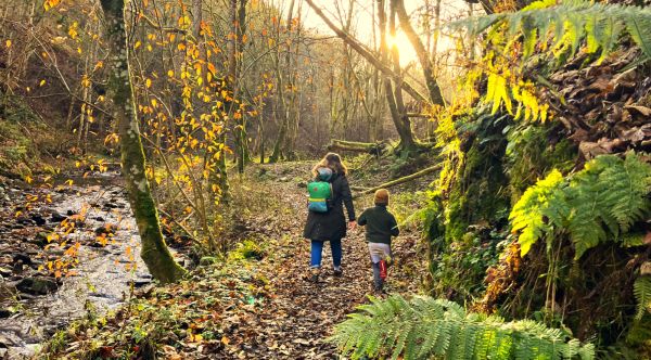 A family walk on an attractive path in Perthshire woodland 