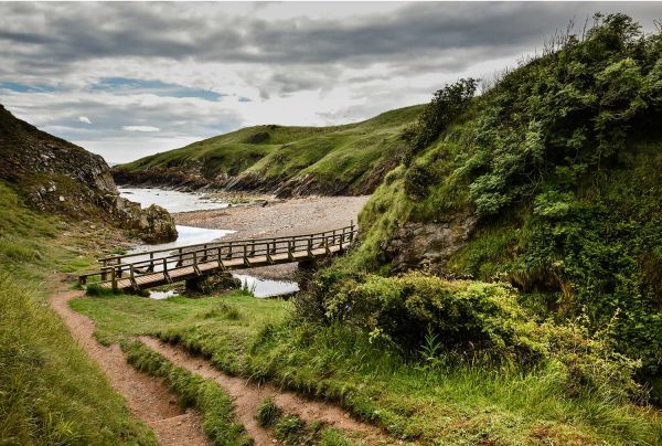 A path leading down to the beach and sea