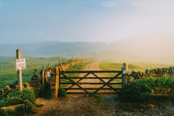 A country path covered in mist with a gate in the foreground and a dogs on leads at all times sign. 