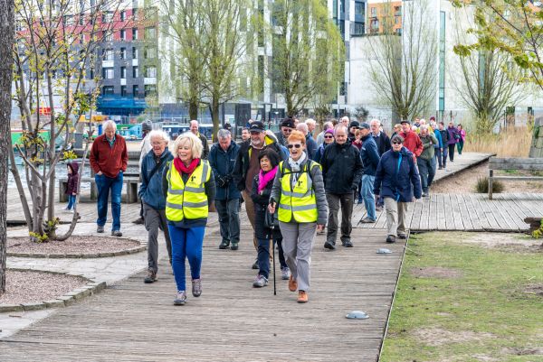 group on city walk