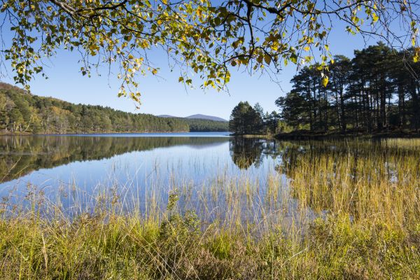 loch an eilein gentel walk