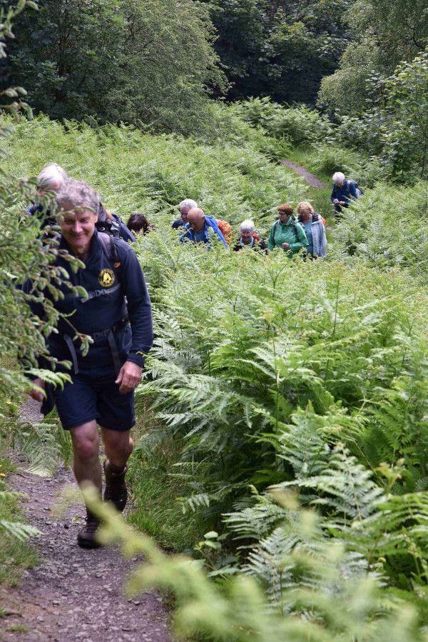 Glasgow city council ranger Gary Linstead leading a group up a narrow path