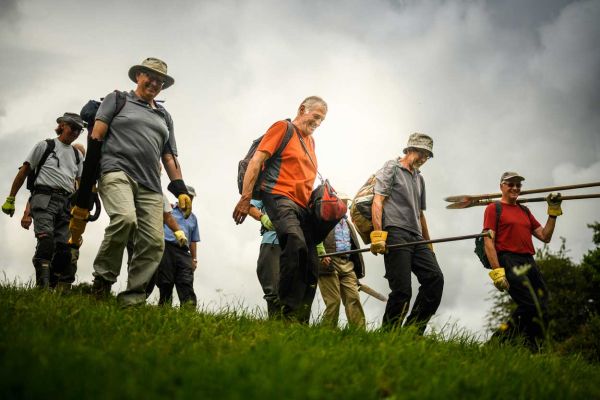 A group of walkers