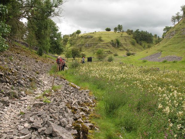 Dry dale in the Hartington area