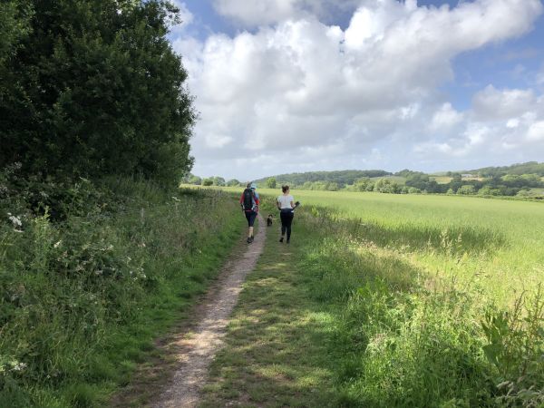 People taking a walk in the countryside