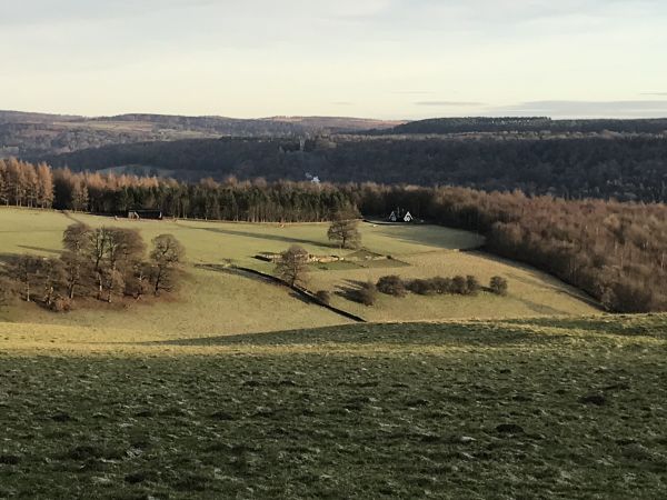 Chatsworth 1