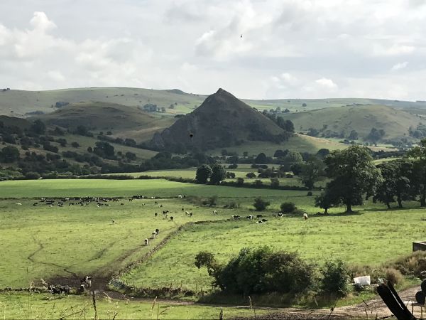 Chrome Hill