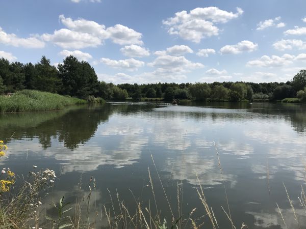 Attenborough Nature Reserve