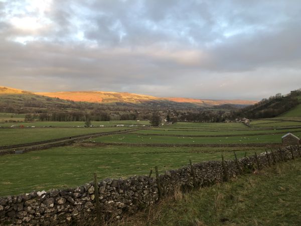 A recent walk