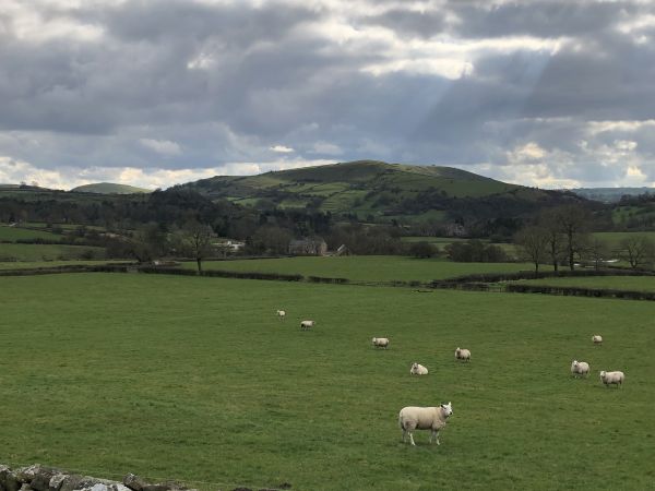 A recent walk