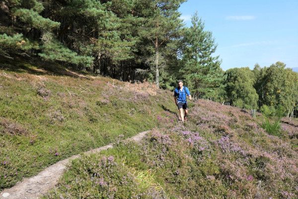 Kingussie hillside, Cairngorms 