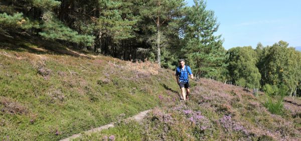 A walker on a narrow path in Kingussie hillside