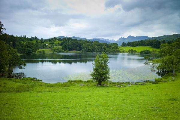 lake district lake and scenic greenry