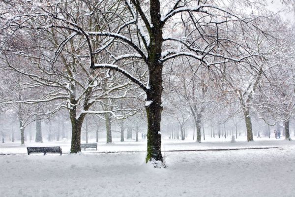 London’s Royal Parks