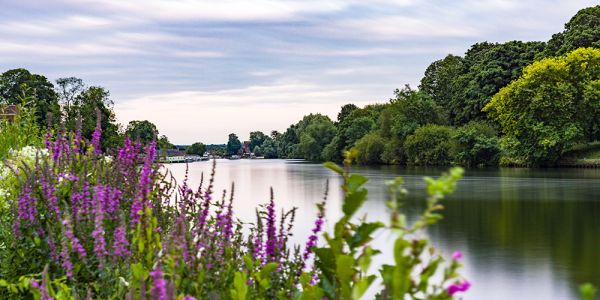 A photo taken in Richmond upon Thames, showing a sense of calm ambiance and peace, long exposure gave the scene an artistic texture