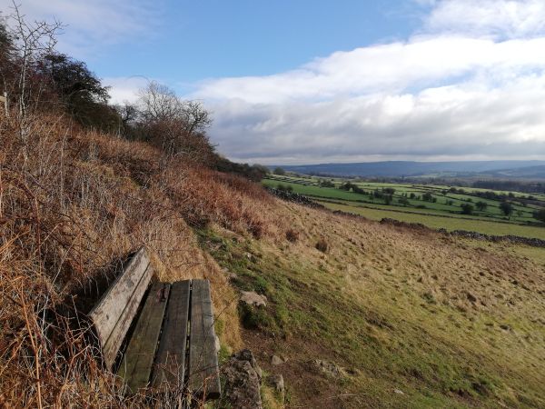 Bench at the bottom of Longstone Moor