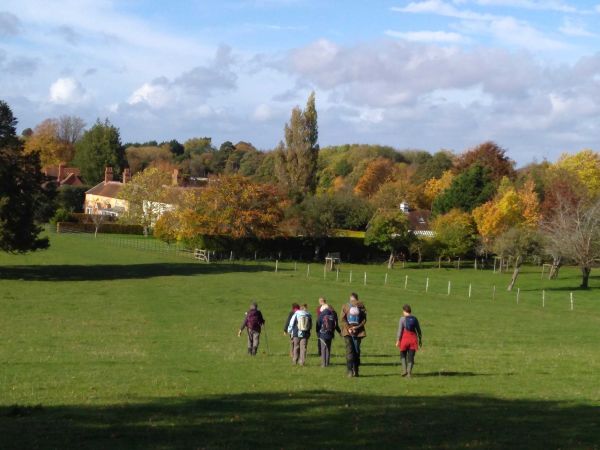 walkers in a green field