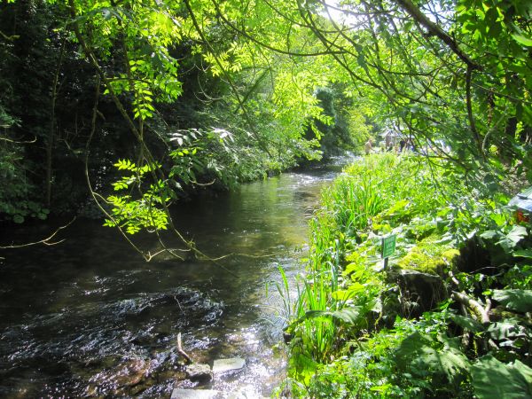 River Wye in Millers Dale