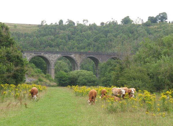 Monsal Head Viaduct