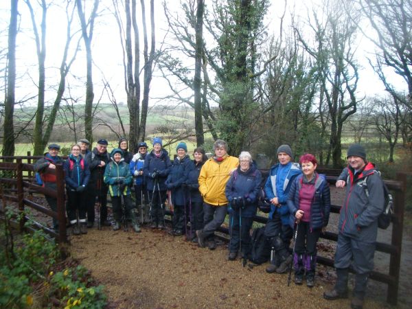 People standing in the woods