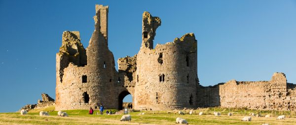 The large, twin towers of the ruined Dunstanburgh Castle rise in the centre as sheep graze on long grass in the foreground