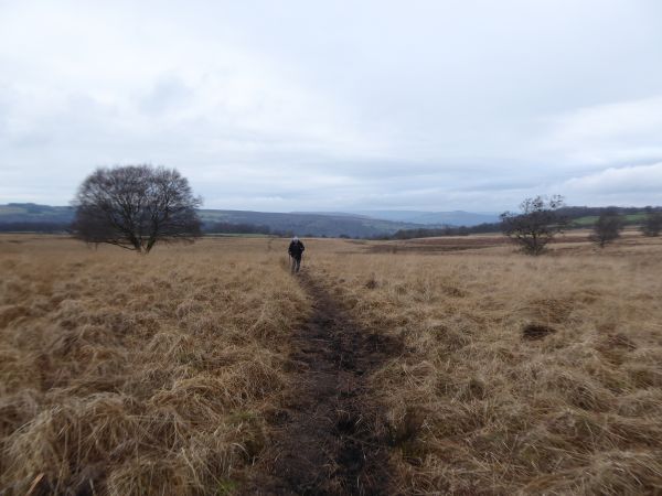 Crossing the Moor