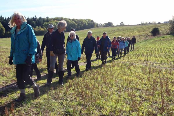 a line of walkers going across a harvested field.