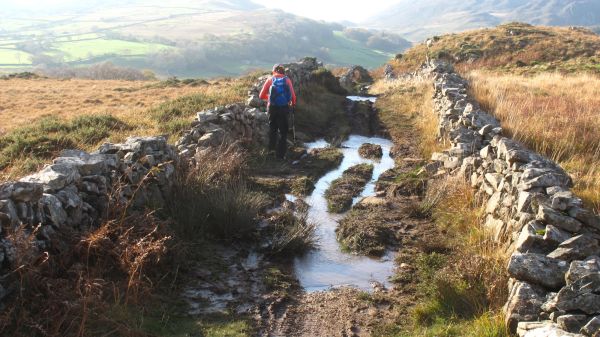 Path problems water uneven ground